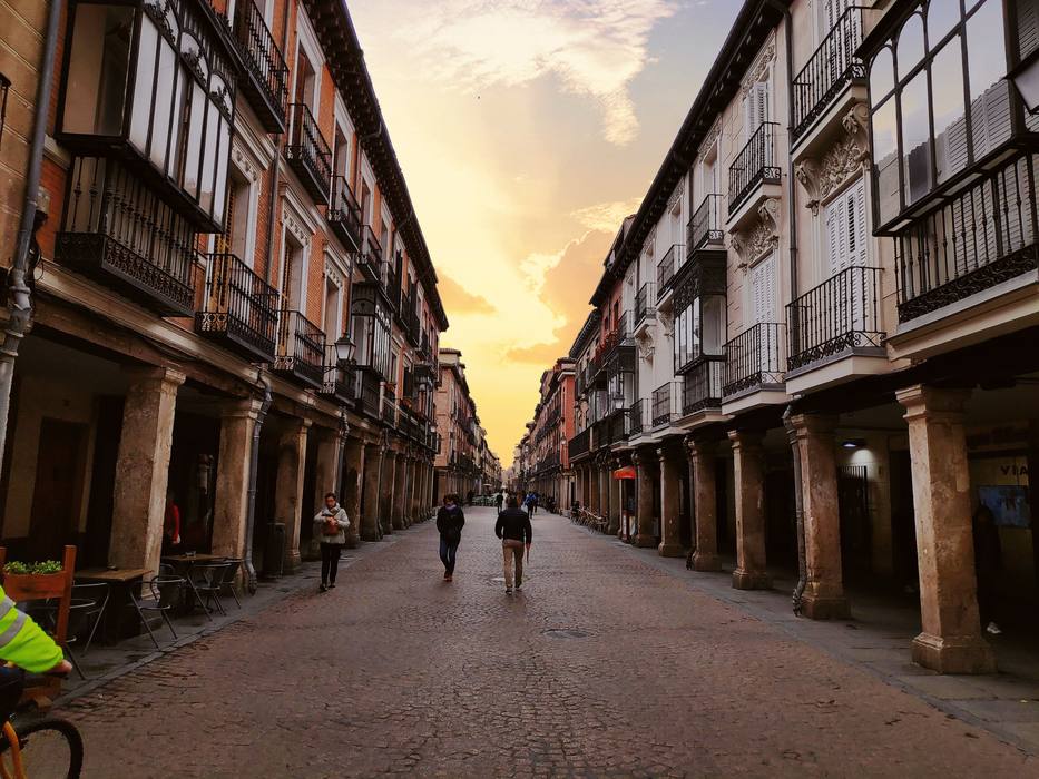 Alcalá de Henares y Cervantes desde Madrid