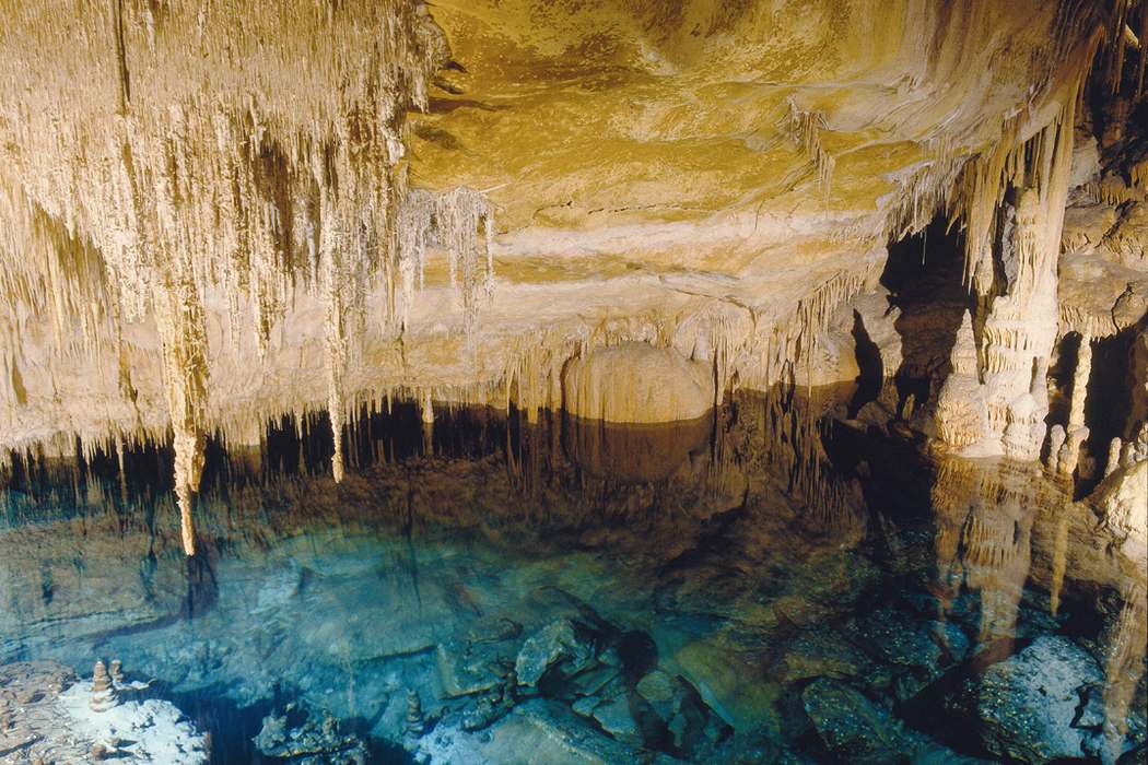 Excursión de día Completo a Cuevas del Drach y Hams con visita a Fábrica de Perlas