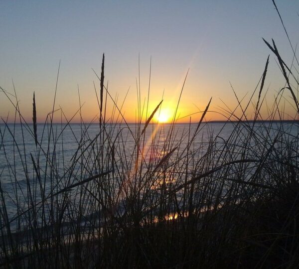 Atardecer entre dunas en la playa de Es Trenc, Mallorca