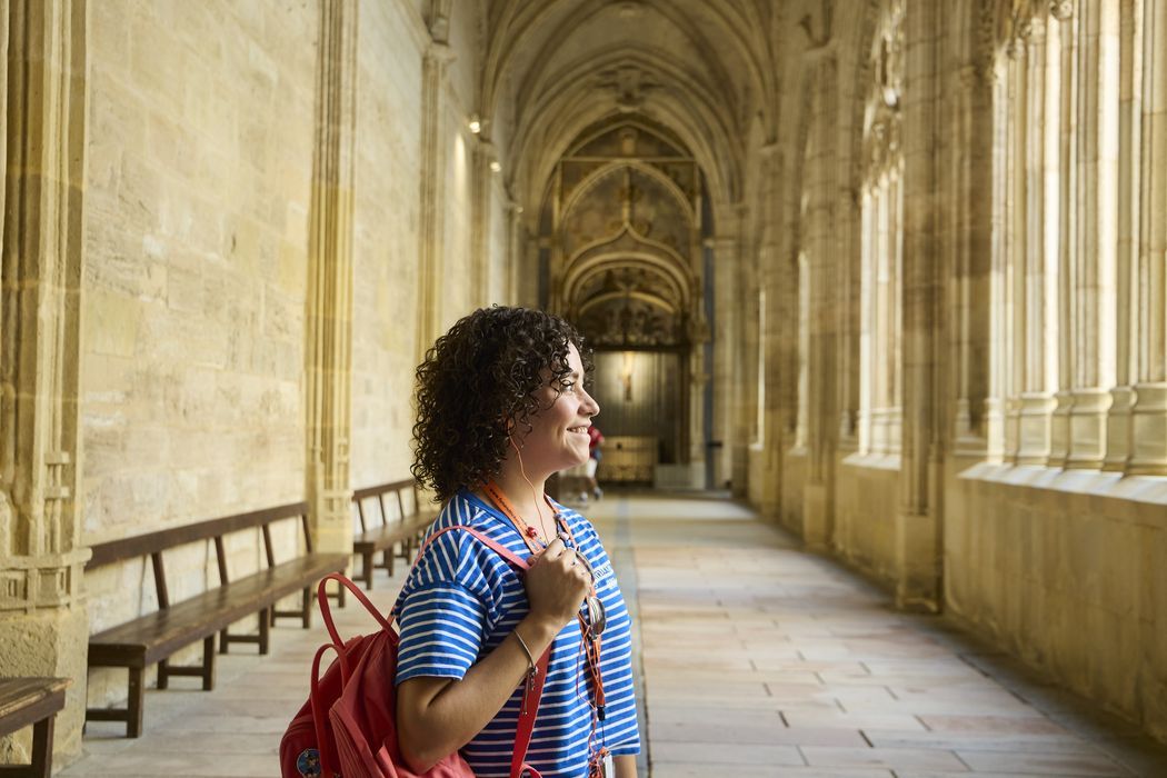 Tour VIP PRIVADO y Exclusivo de Día Completo Toledo y Segovia desde Madrid